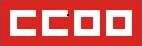 SECCI�N SINDICAL DE CCOO EN CESEX